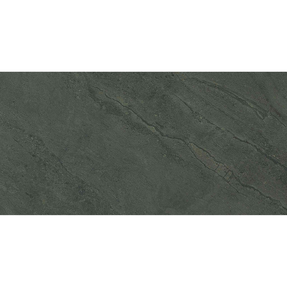 PŁYTKA CERAMICZNA PR/PO612GBX 120 X 60 CM OD EMIL CERAMICA