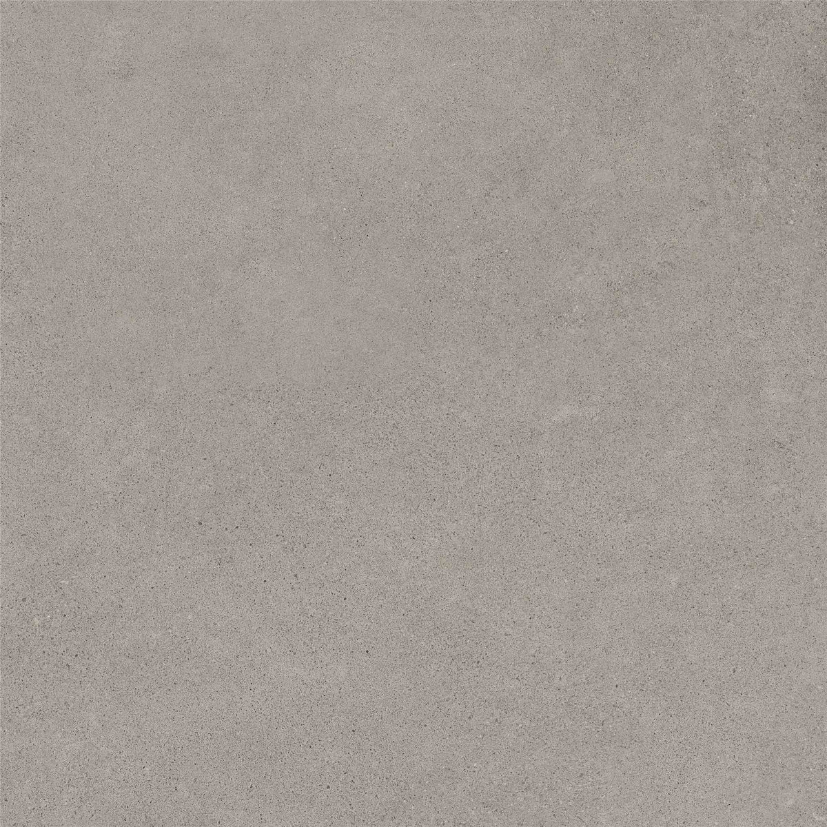 PŁYTKA CERAMICZNA MH/RAW66SGR  60 X 60 CM OD MAXHOME