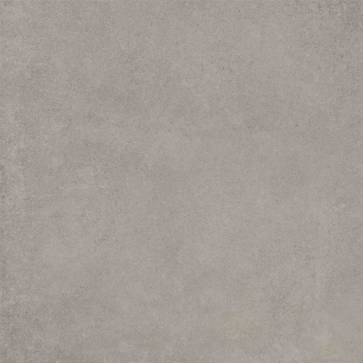 PŁYTKA CERAMICZNA MH/RAW66SGR  60 X 60 CM OD MAXHOME