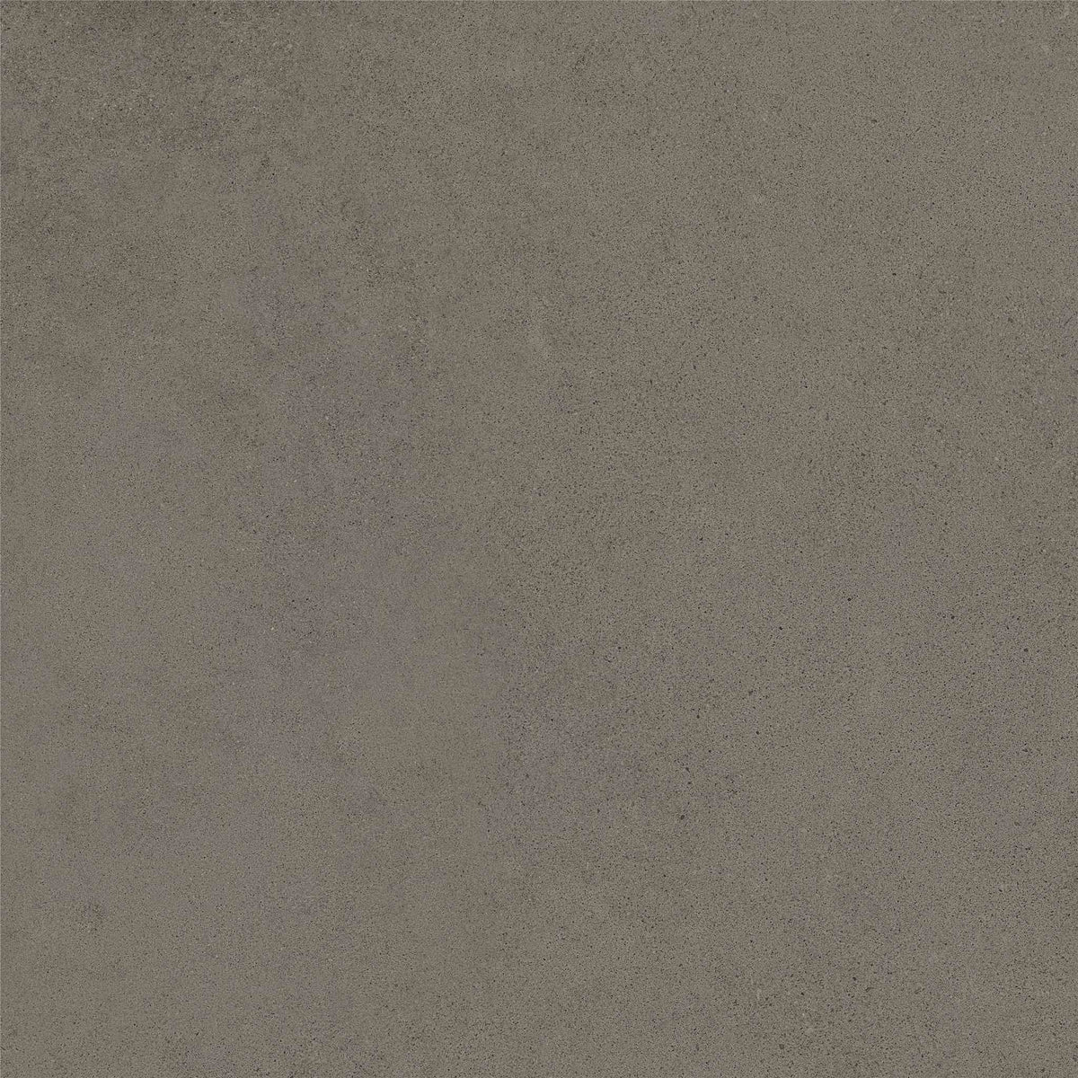 PŁYTKA CERAMICZNA MH/RAW66GR  60 X 60 CM OD MAXHOME