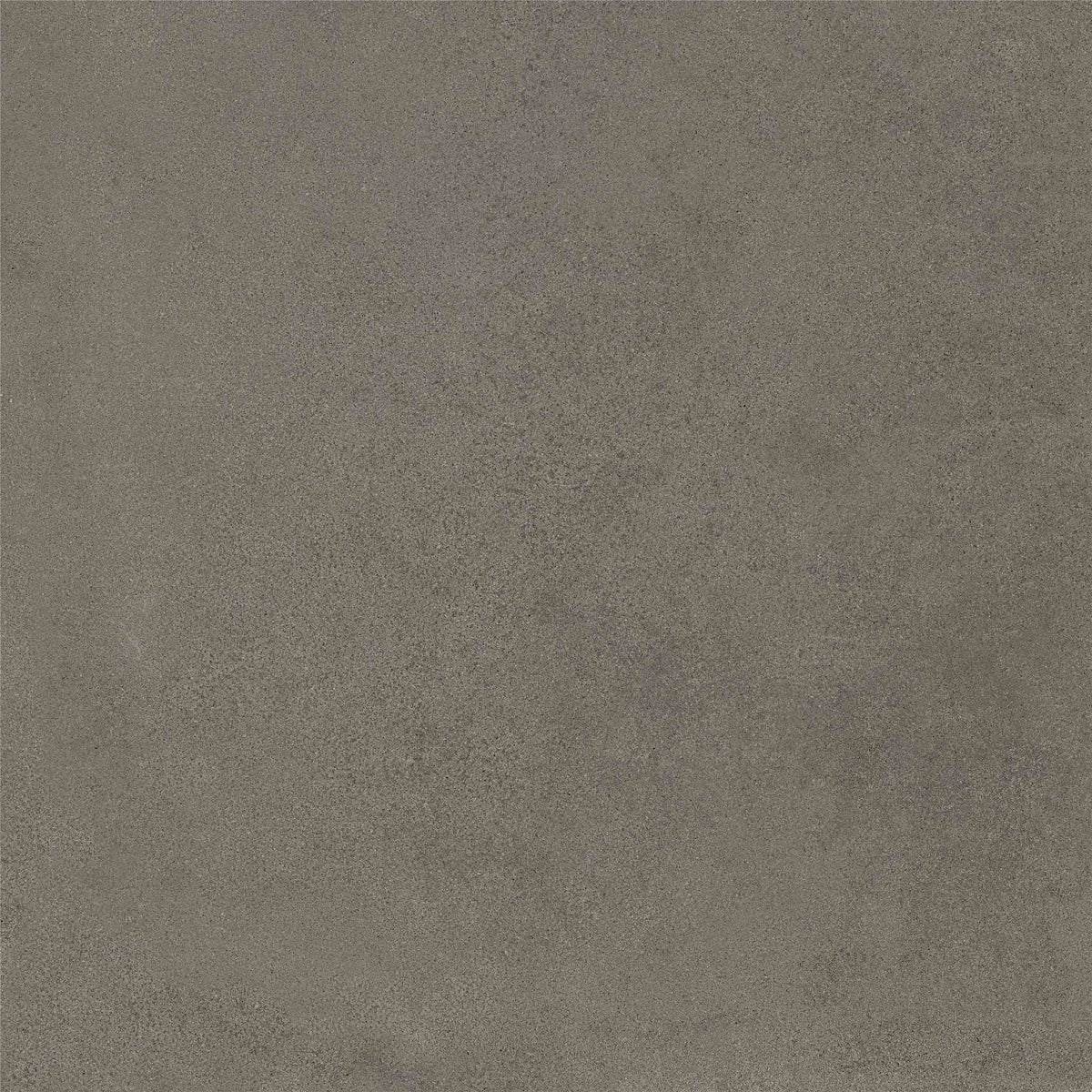 PŁYTKA CERAMICZNA MH/RAW66GR  60 X 60 CM OD MAXHOME