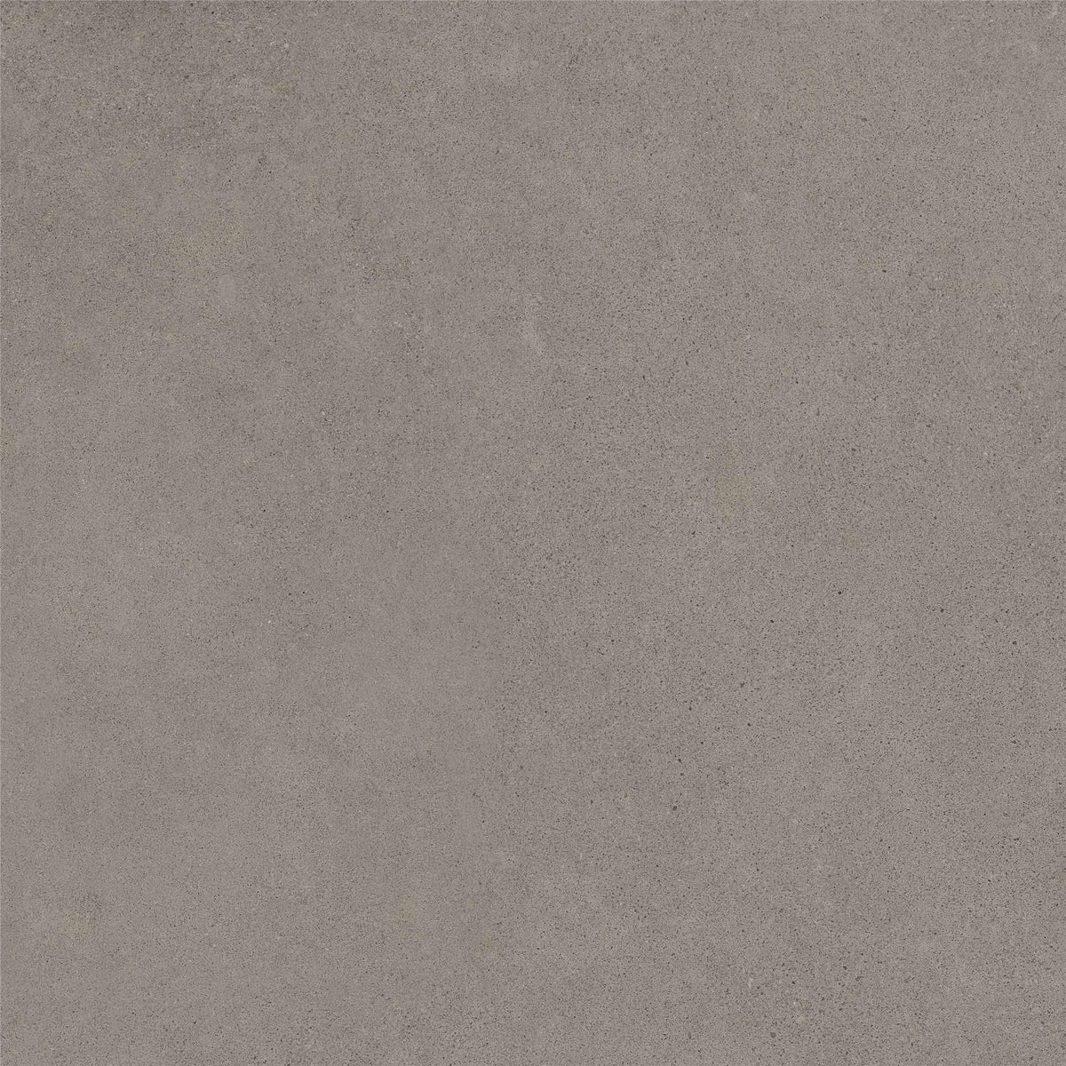 PŁYTKA CERAMICZNA MH/RAW66SI  60 X 60 CM OD MAXHOME