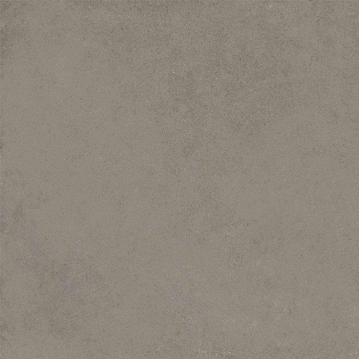 PŁYTKA CERAMICZNA MH/RAW66SI  60 X 60 CM OD MAXHOME