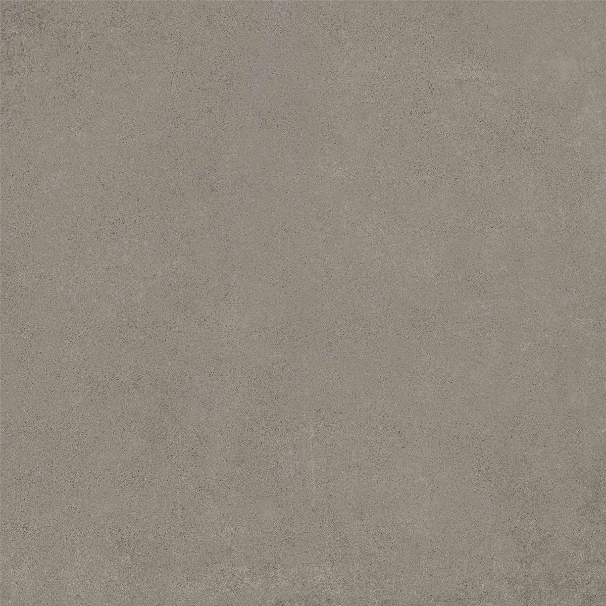 PŁYTKA CERAMICZNA MH/RAW66SI  60 X 60 CM OD MAXHOME