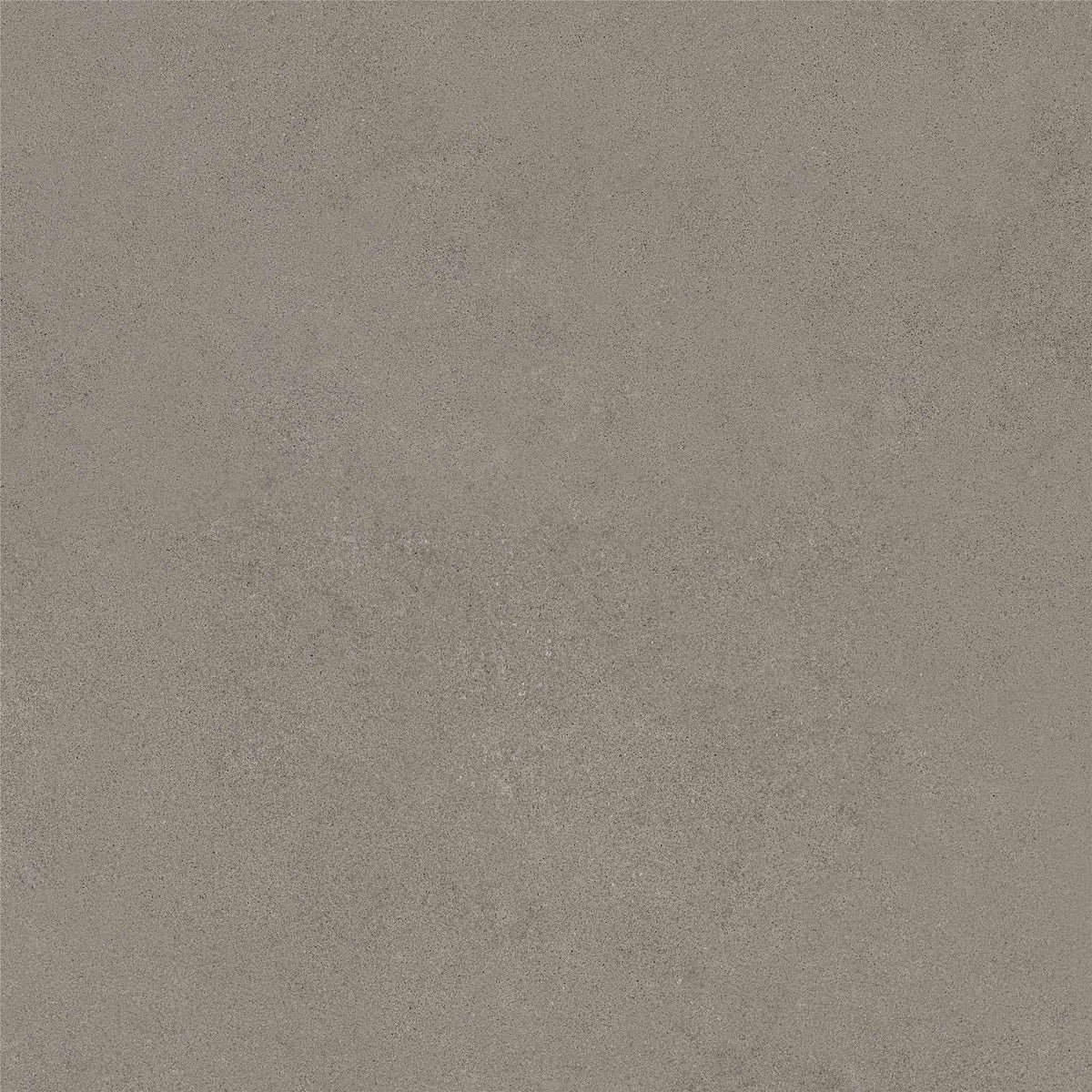 PŁYTKA CERAMICZNA MH/RAW66SI  60 X 60 CM OD MAXHOME