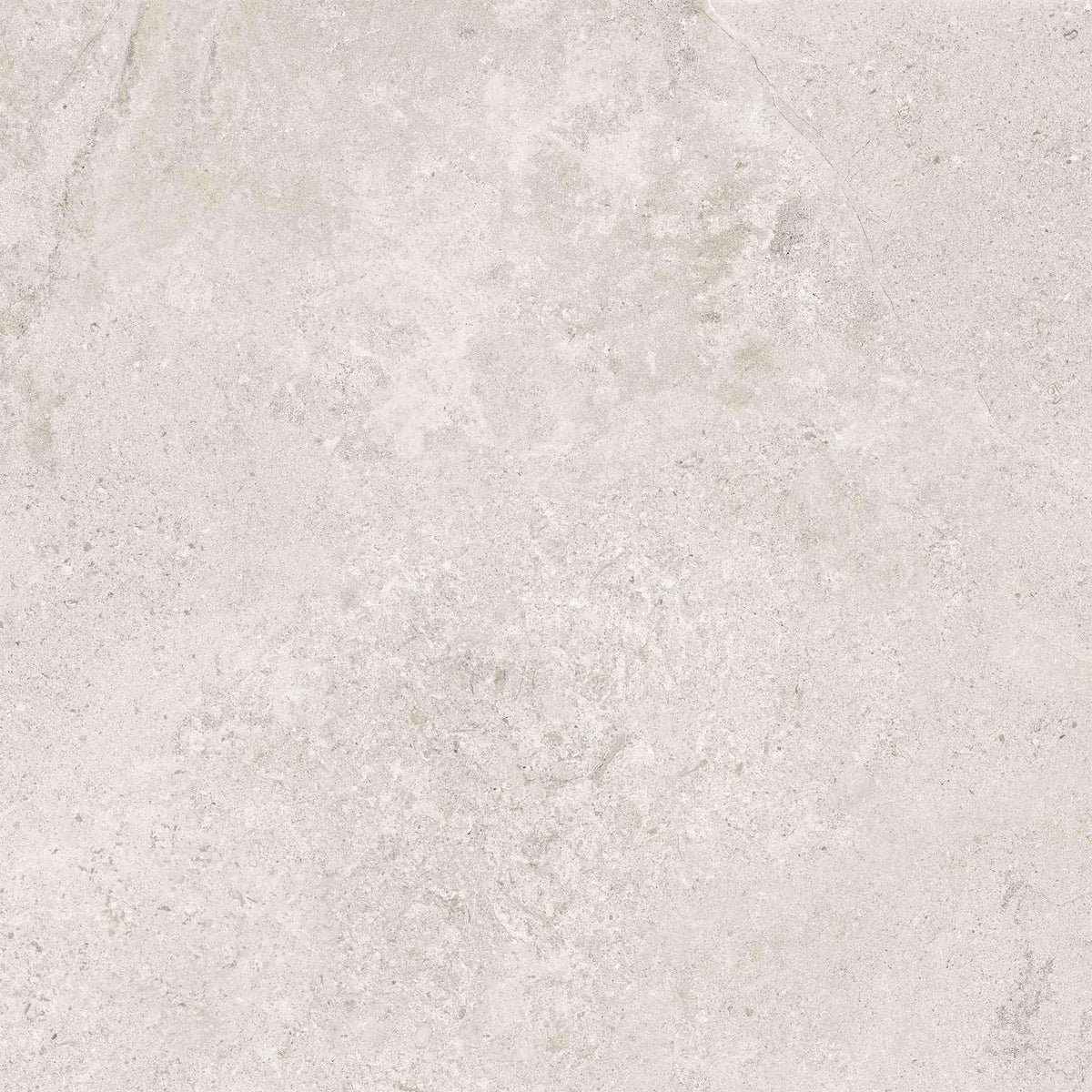 PŁYTKA CERAMICZNA MH/MON66NAM 60 X 60 CM OD MAXHOME