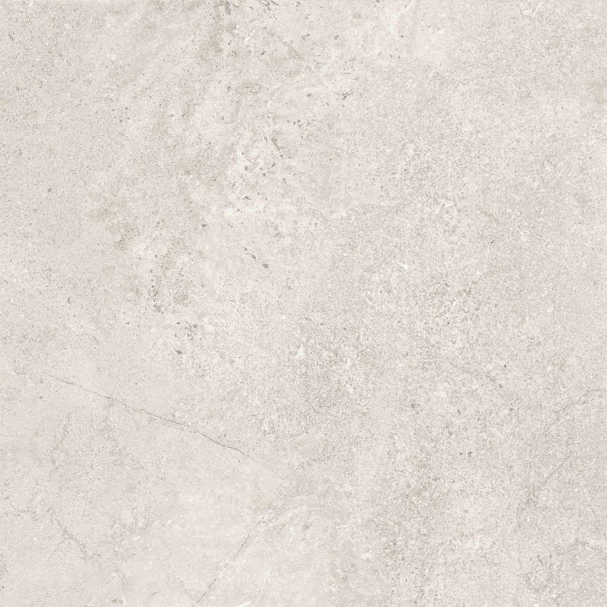 PŁYTKA CERAMICZNA MH/MON66NAM 60 X 60 CM OD MAXHOME