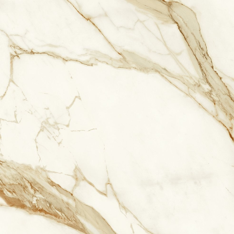 PŁYTKA CERAMICZNA  60 X 60 CM OD ATLAS CONCORDE
