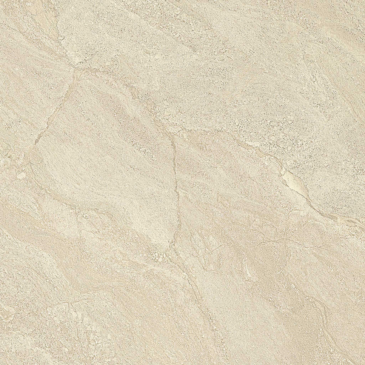 PŁYTKA CERAMICZNA PR/PO66C 60 X 60 CM OD EMIL CERAMICA