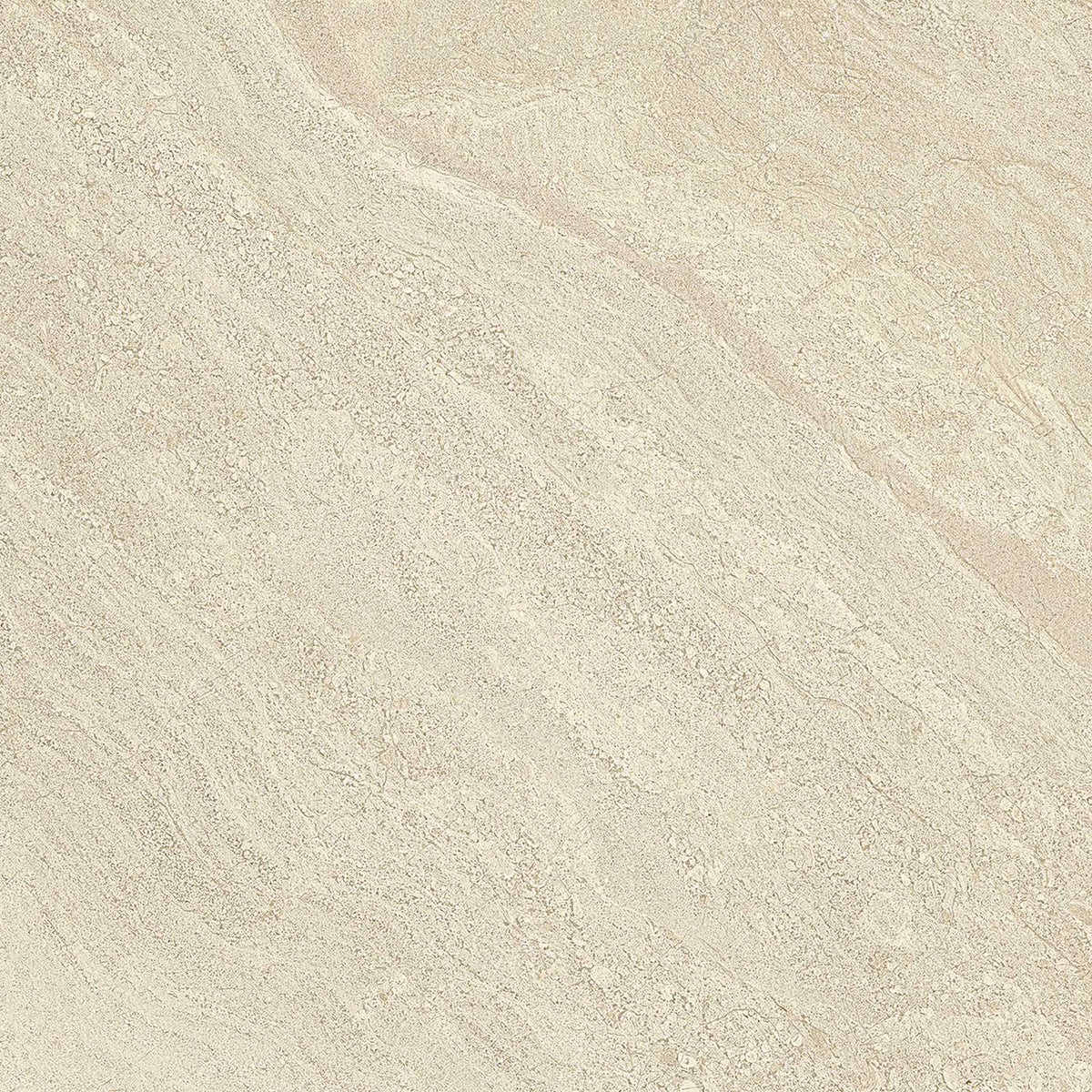 PŁYTKA CERAMICZNA PR/PO66C 60 X 60 CM OD EMIL CERAMICA
