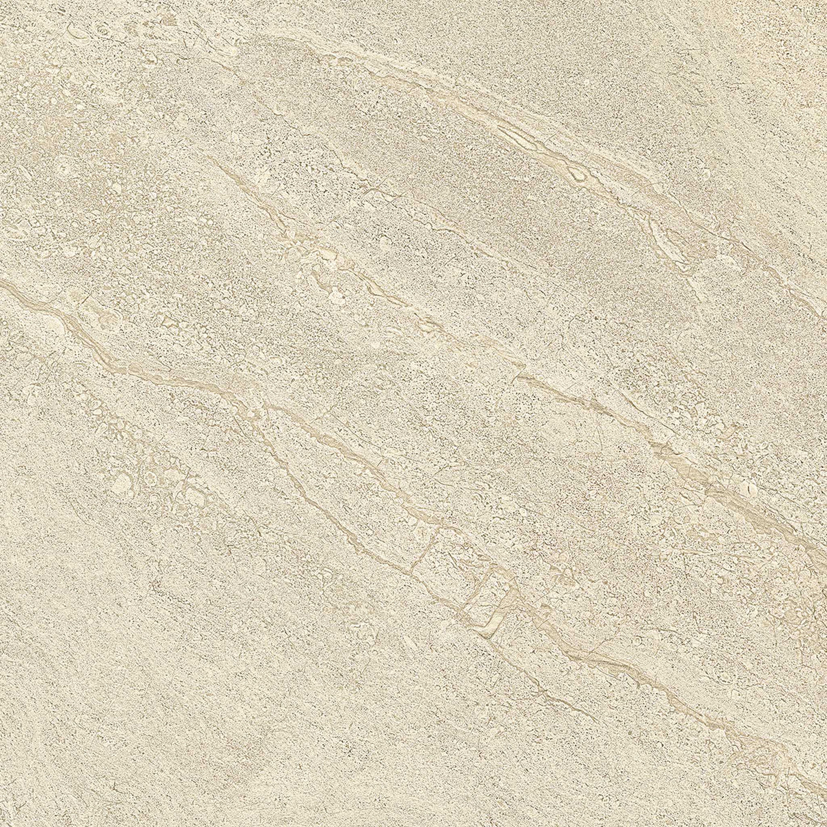 PŁYTKA CERAMICZNA PR/PO66C 60 X 60 CM OD EMIL CERAMICA