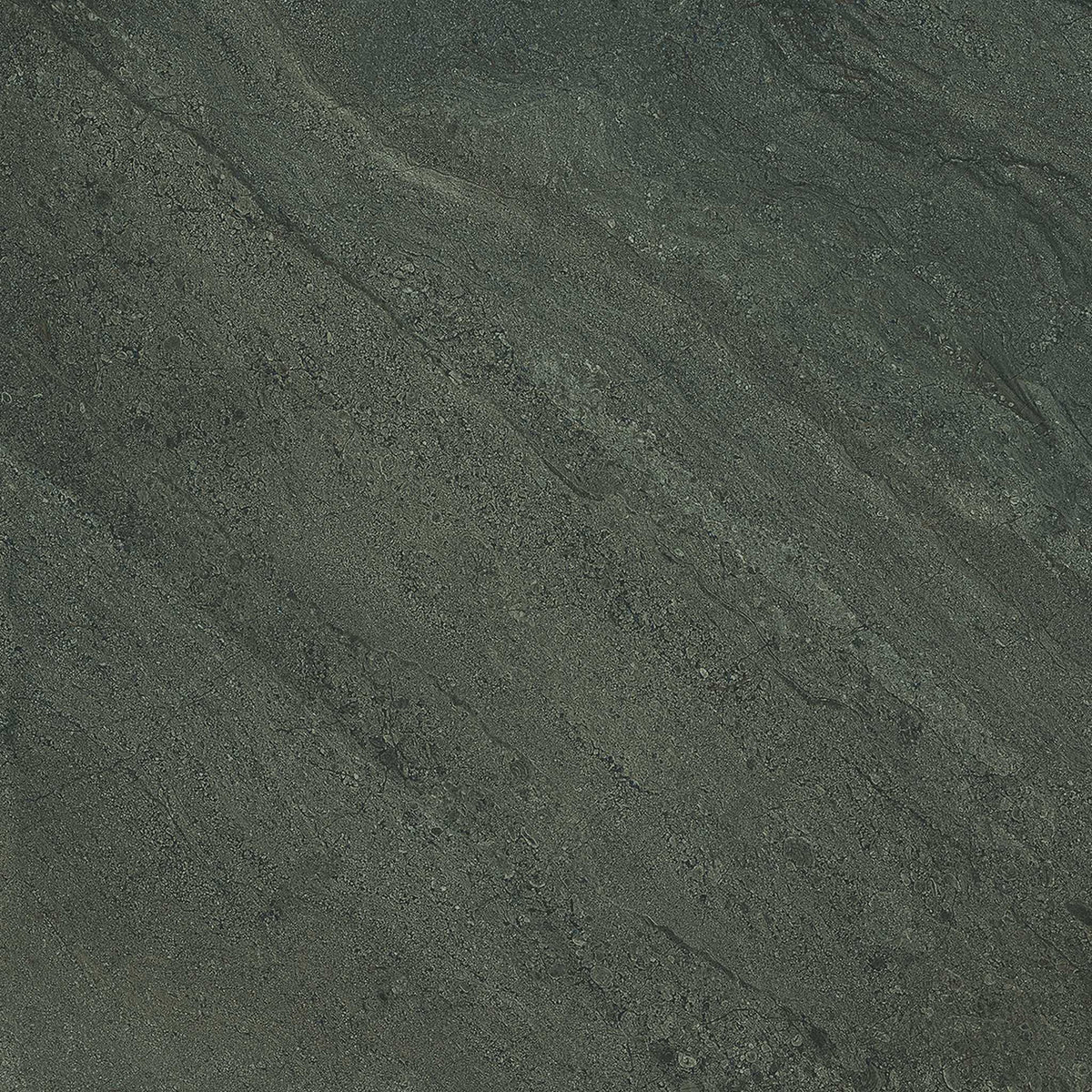 PŁYTKA CERAMICZNA PR/PO66GB 60 X 60 CM OD EMIL CERAMICA