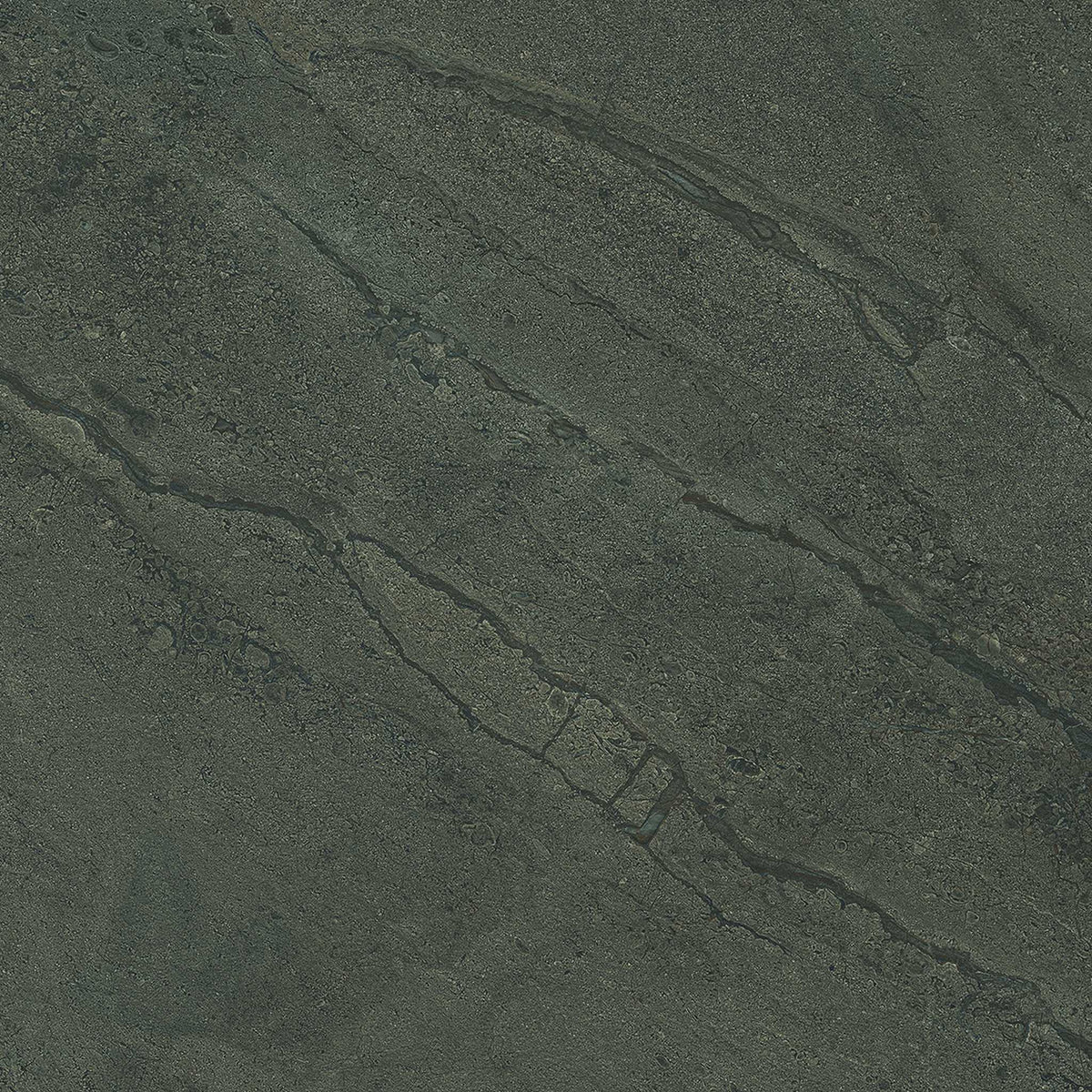 PŁYTKA CERAMICZNA PR/PO66GB 60 X 60 CM OD EMIL CERAMICA