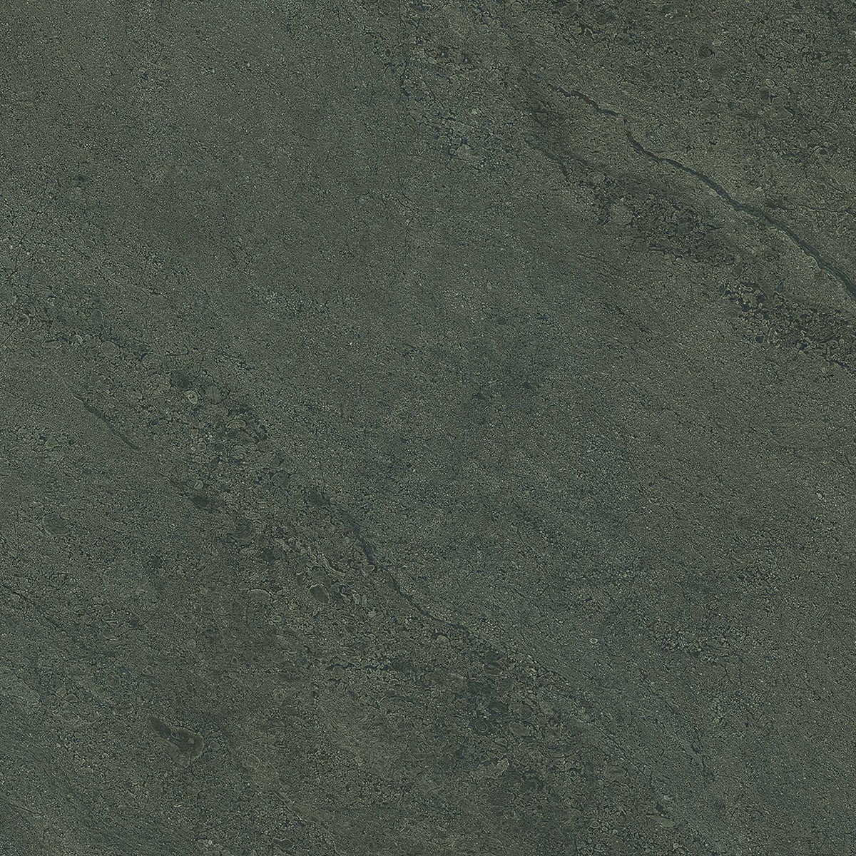 PŁYTKA CERAMICZNA PR/PO66GB 60 X 60 CM OD EMIL CERAMICA