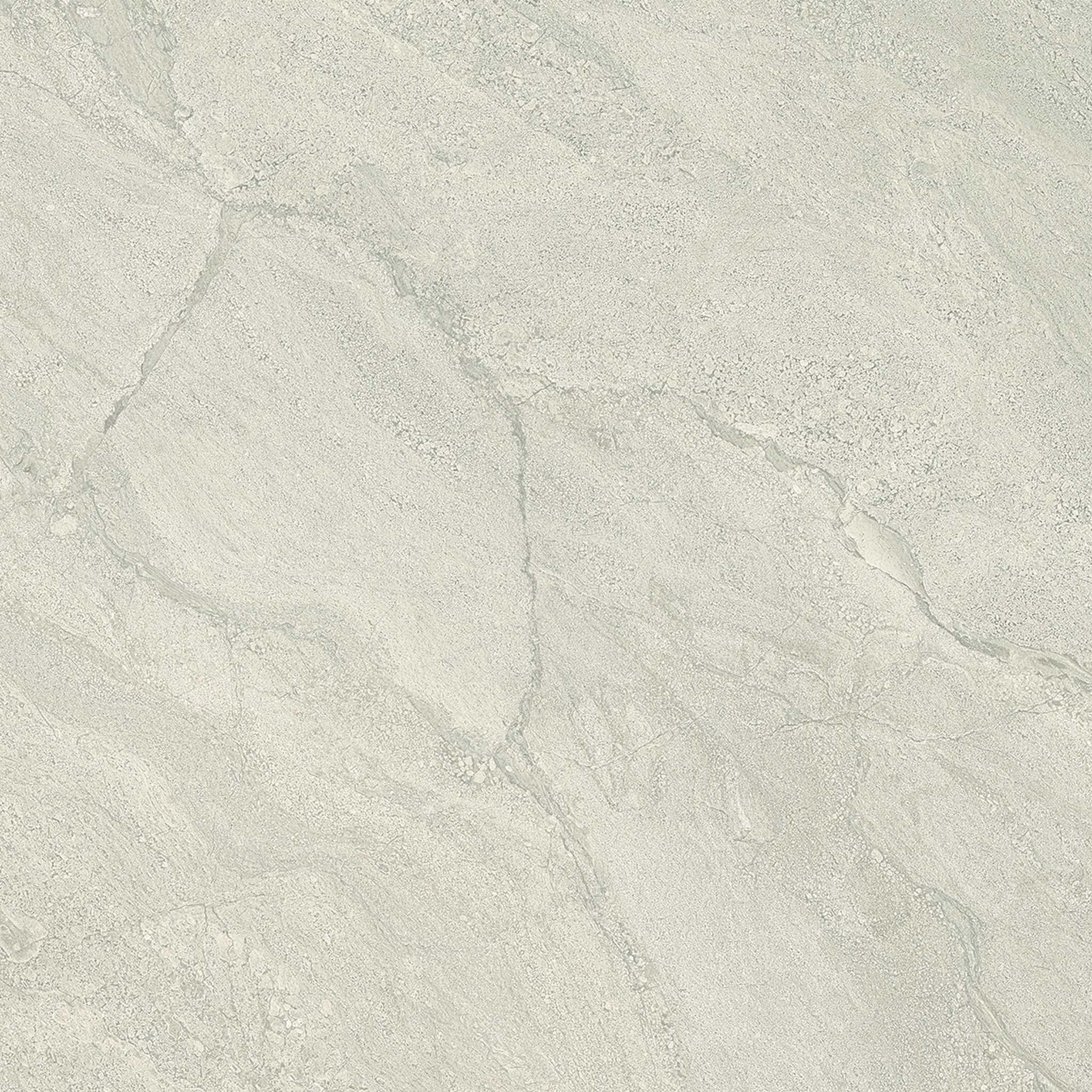PŁYTKA CERAMICZNA PR/PO66GC 60 X 60 CM OD EMIL CERAMICA