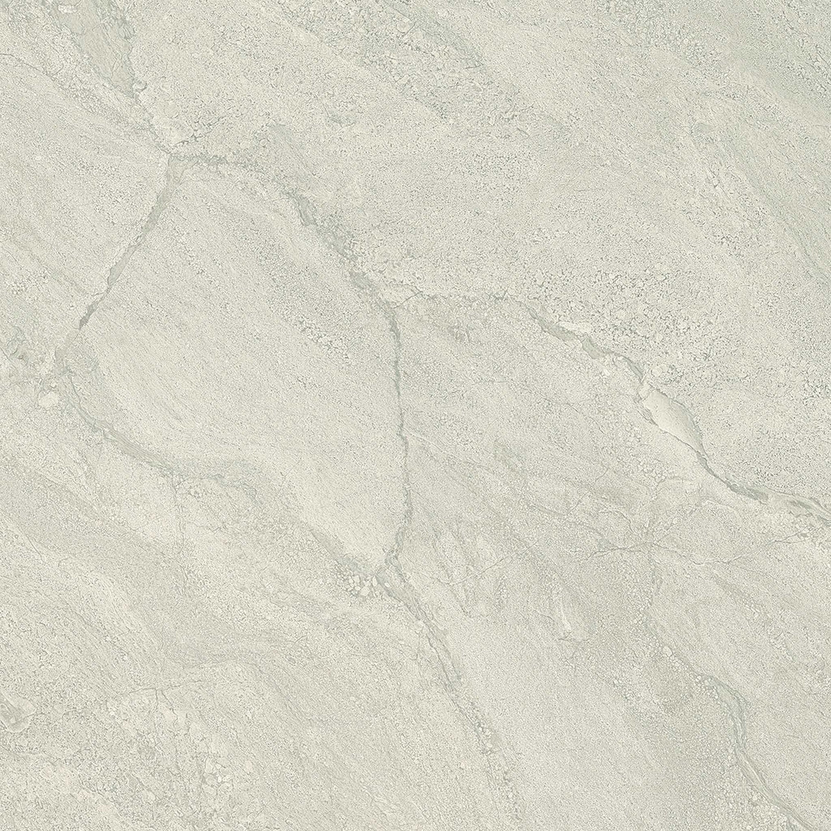 PŁYTKA CERAMICZNA PR/PO66GC 60 X 60 CM OD EMIL CERAMICA
