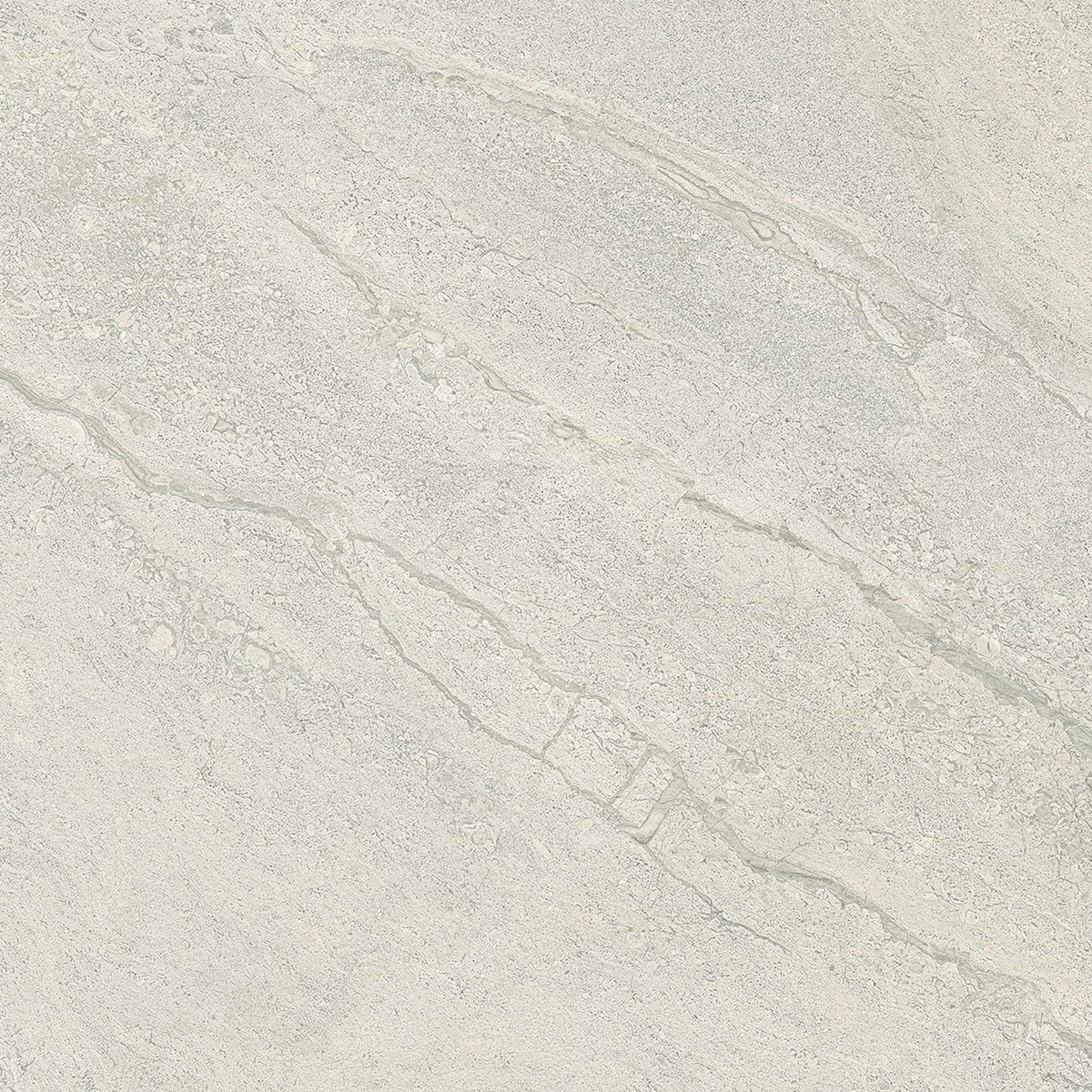PŁYTKA CERAMICZNA PR/PO66GC 60 X 60 CM OD EMIL CERAMICA