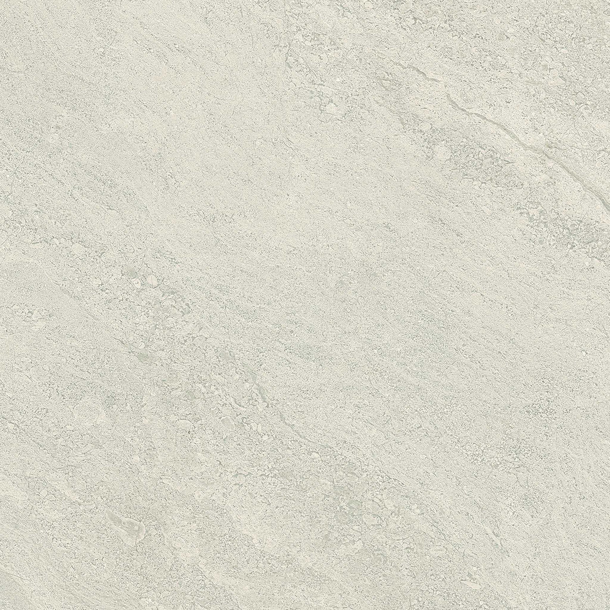 PŁYTKA CERAMICZNA PR/PO66GC 60 X 60 CM OD EMIL CERAMICA