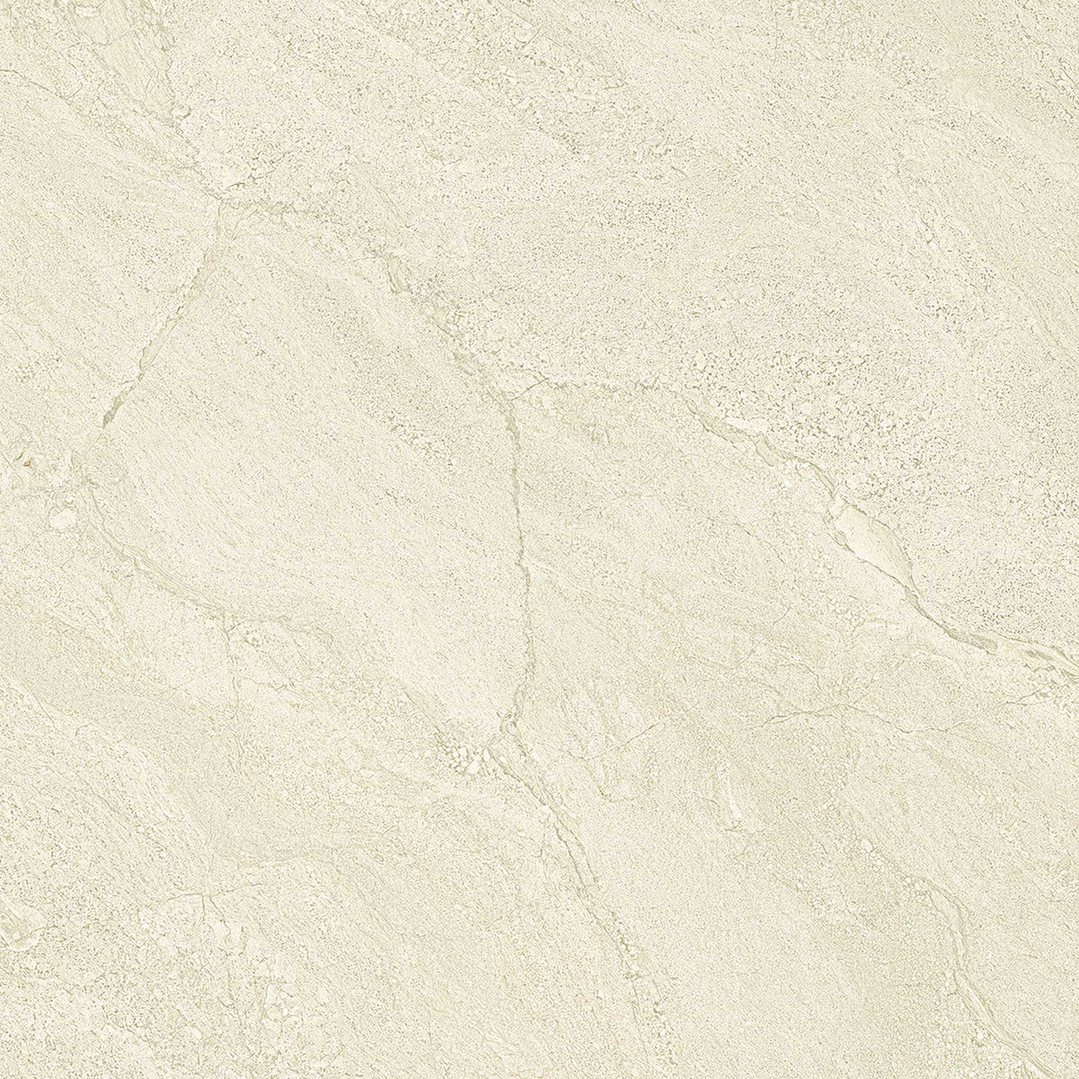 PŁYTKA CERAMICZNA PR/PO66P 60 X 60 CM OD EMIL CERAMICA