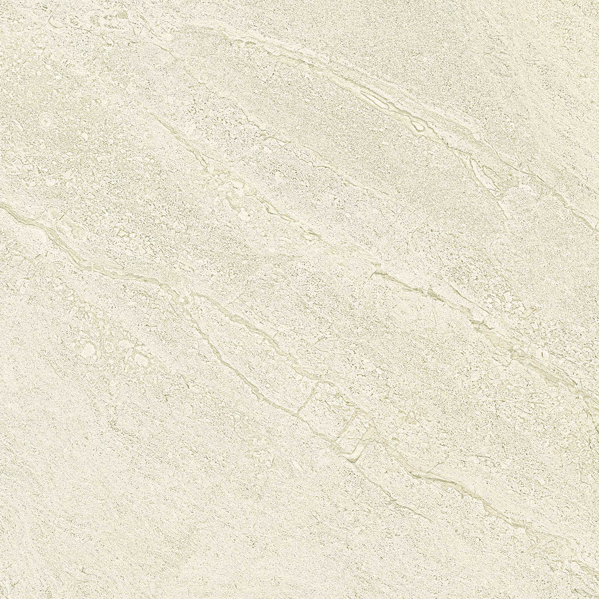 PŁYTKA CERAMICZNA PR/PO66P 60 X 60 CM OD EMIL CERAMICA