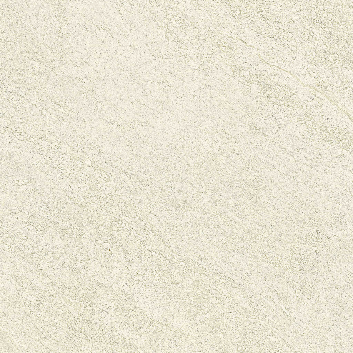 PŁYTKA CERAMICZNA PR/PO66P 60 X 60 CM OD EMIL CERAMICA