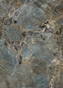 PŁYTKA CERAMICZNA MI/AM612CP07L 60 X 120 CM OD MIRAGE