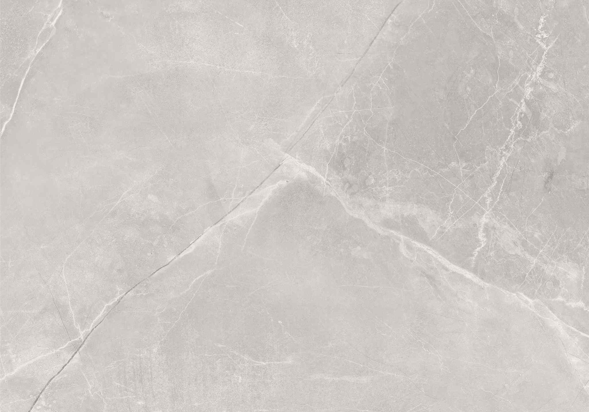 PŁYTKA CERAMICZNA SILVER POL. 79.7 X 79.7 CM OD MAXHOME