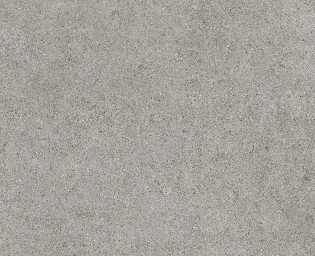 PŁYTKA CERAMICZNA AT/BO88STGR 80 x 80 CM OD ATLAS CONCORDE