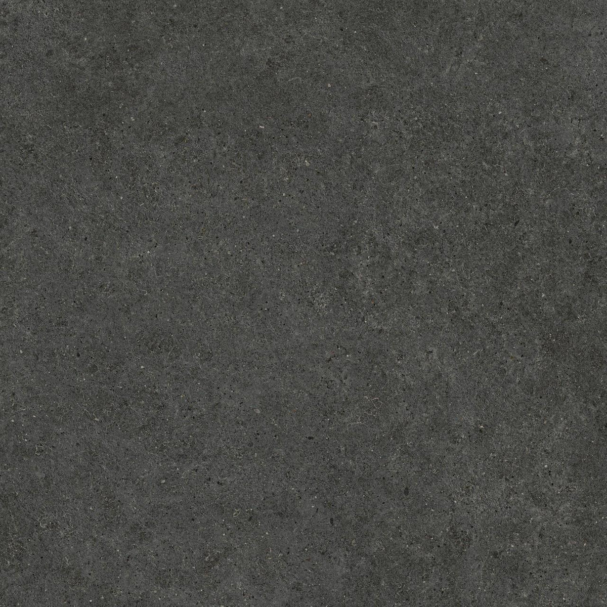 PŁYTKA CERAMICZNA AT/BO88STTAR 80 X 80 CM OD ATLAS CONCORDE