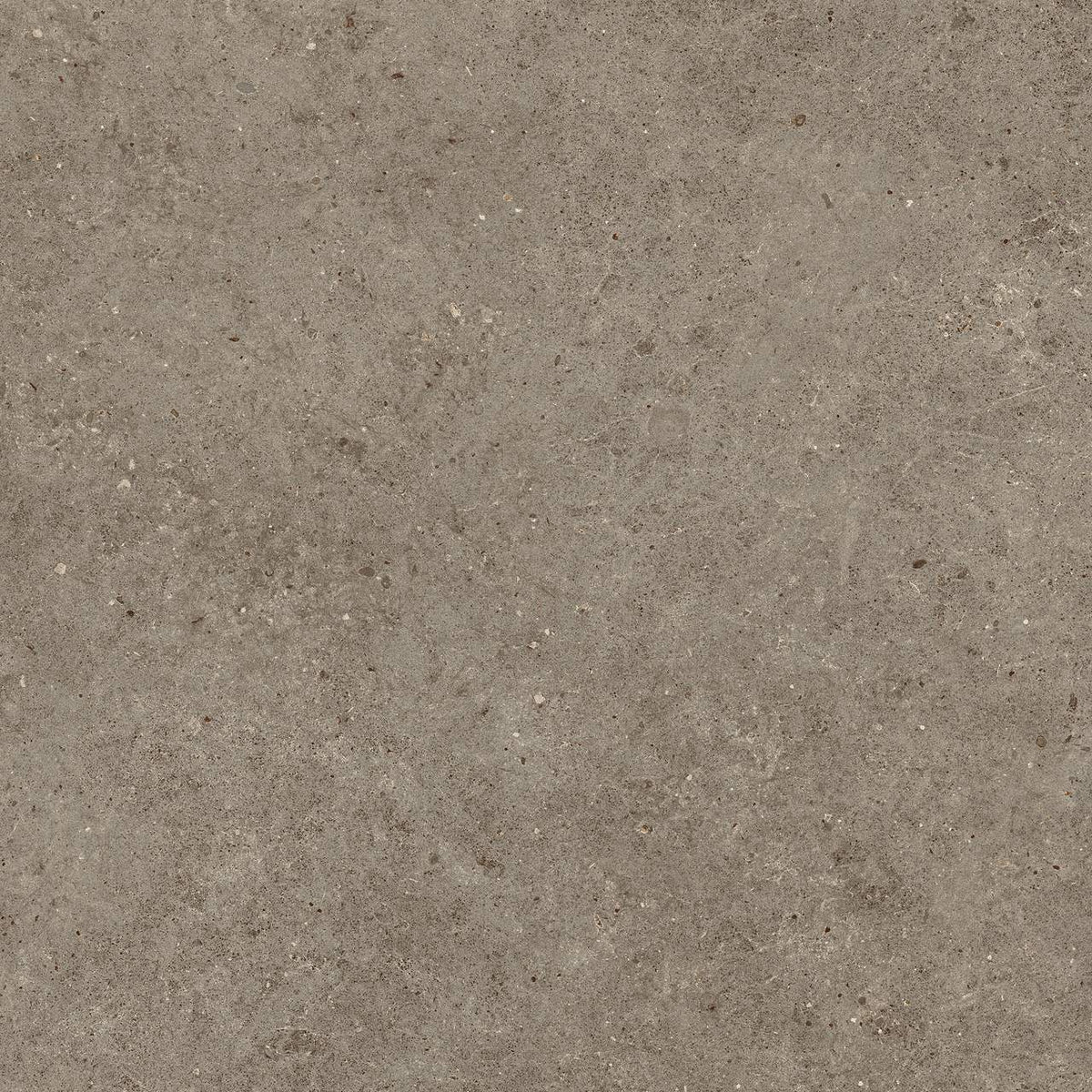PŁYTKA CERAMICZNA AT/BO88STTA 80 X 80 CM OD ATLAS CONCORDE