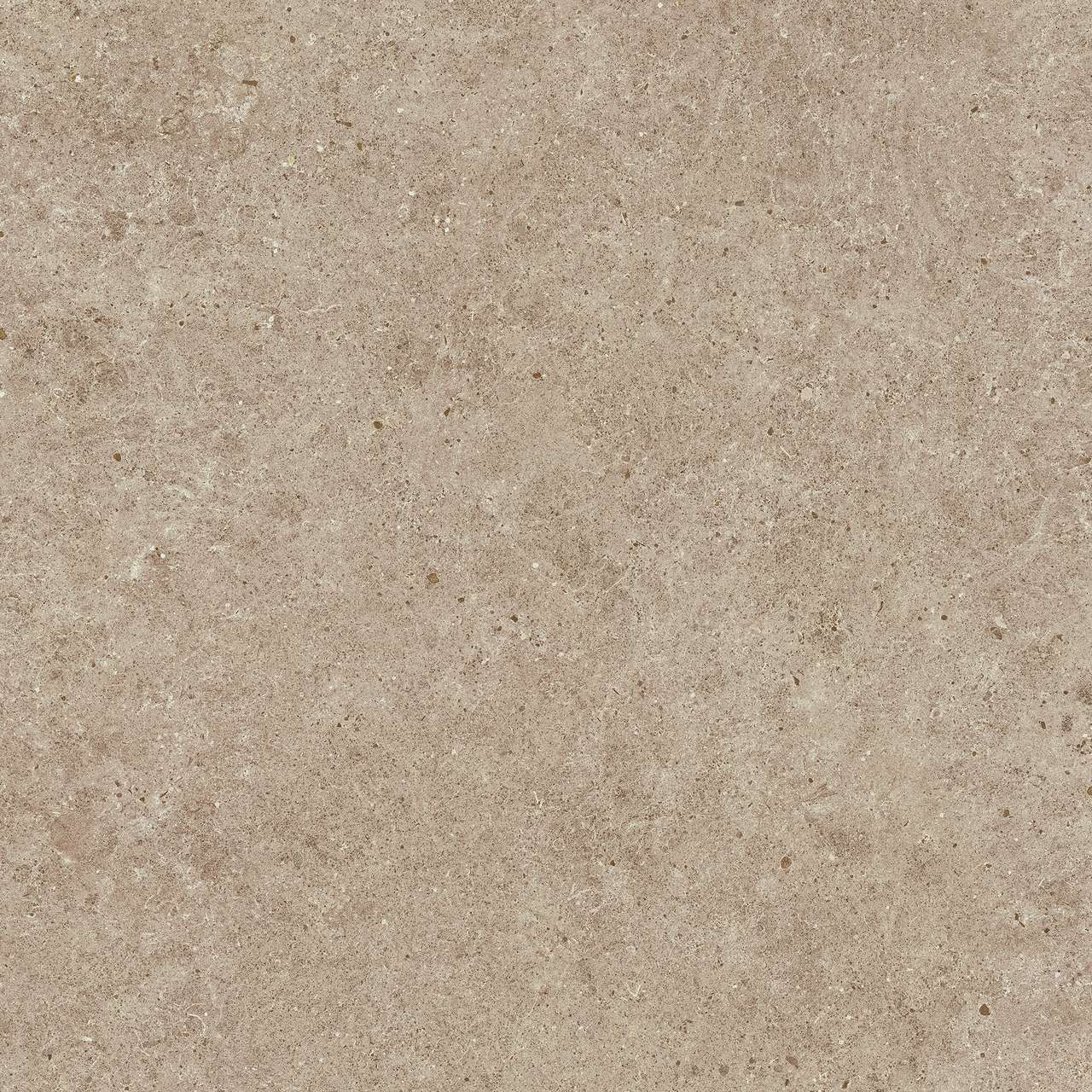 PŁYTKA CERAMICZNA AT/BO88STCL 80 x 80 CM OD ATLAS CONCORDE