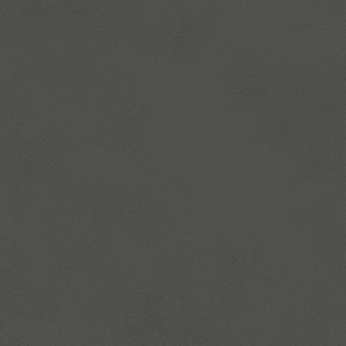 PŁYTKA CERAMICZNA AT/BO88BATAS 80 X 80 CM OD ATLAS CONCORDE