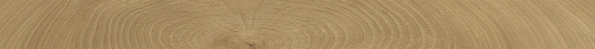 PŁYTKA CERAMICZNA PR/W-C112WAN  10 x 120 CM OD PROVENZA