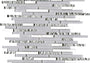 PŁYTKA MOZAIKA MIESZANA ETERNITY MINI STRIP WHITE 29,8x 30.5 x 29.8 CM OD L'ANTIC