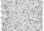 PŁYTKA MOZAIKA KAMIENNA PARADISE TINYBROKEN EDGE GRIS 31 x 31 CM OD L'ANTIC