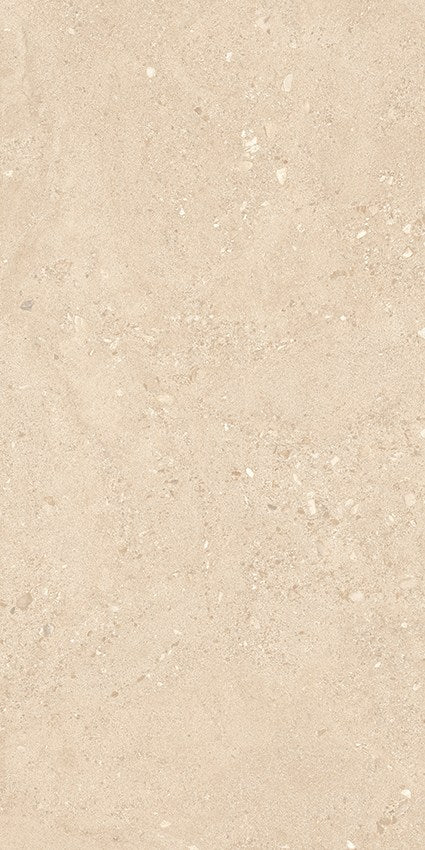 PŁYTKA CERAMICZNA ER/GS1227FSN20 120 x 60 CM OD EMIL CERAMICA