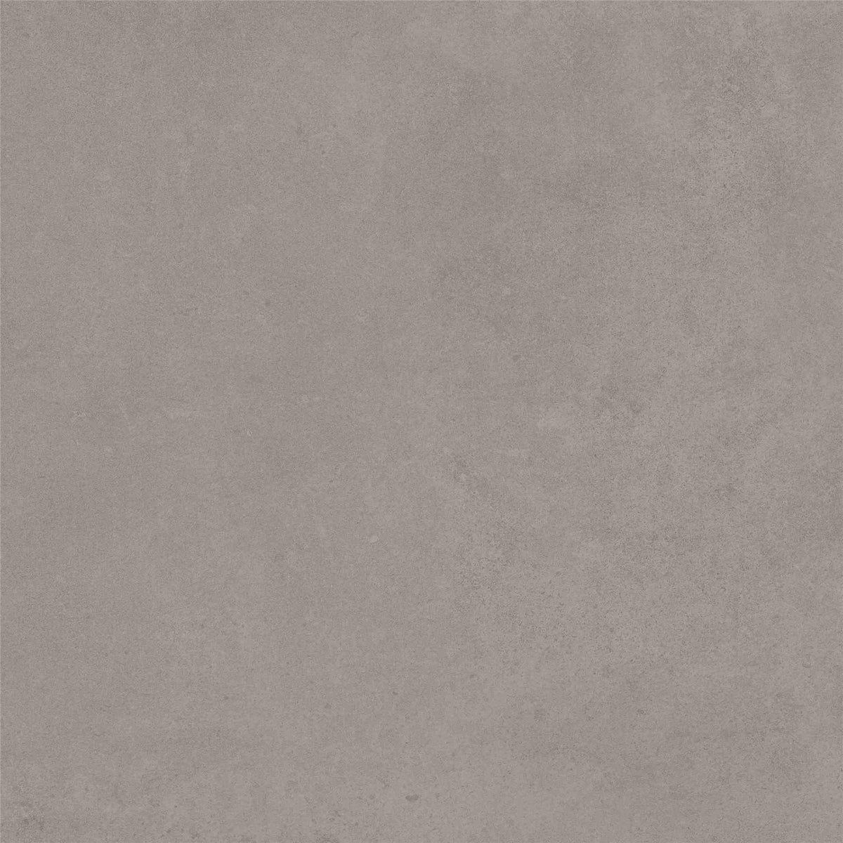 PŁYTKA CERAMICZNA ST/SE66GR30 60 X 60 CM OD STARGRES