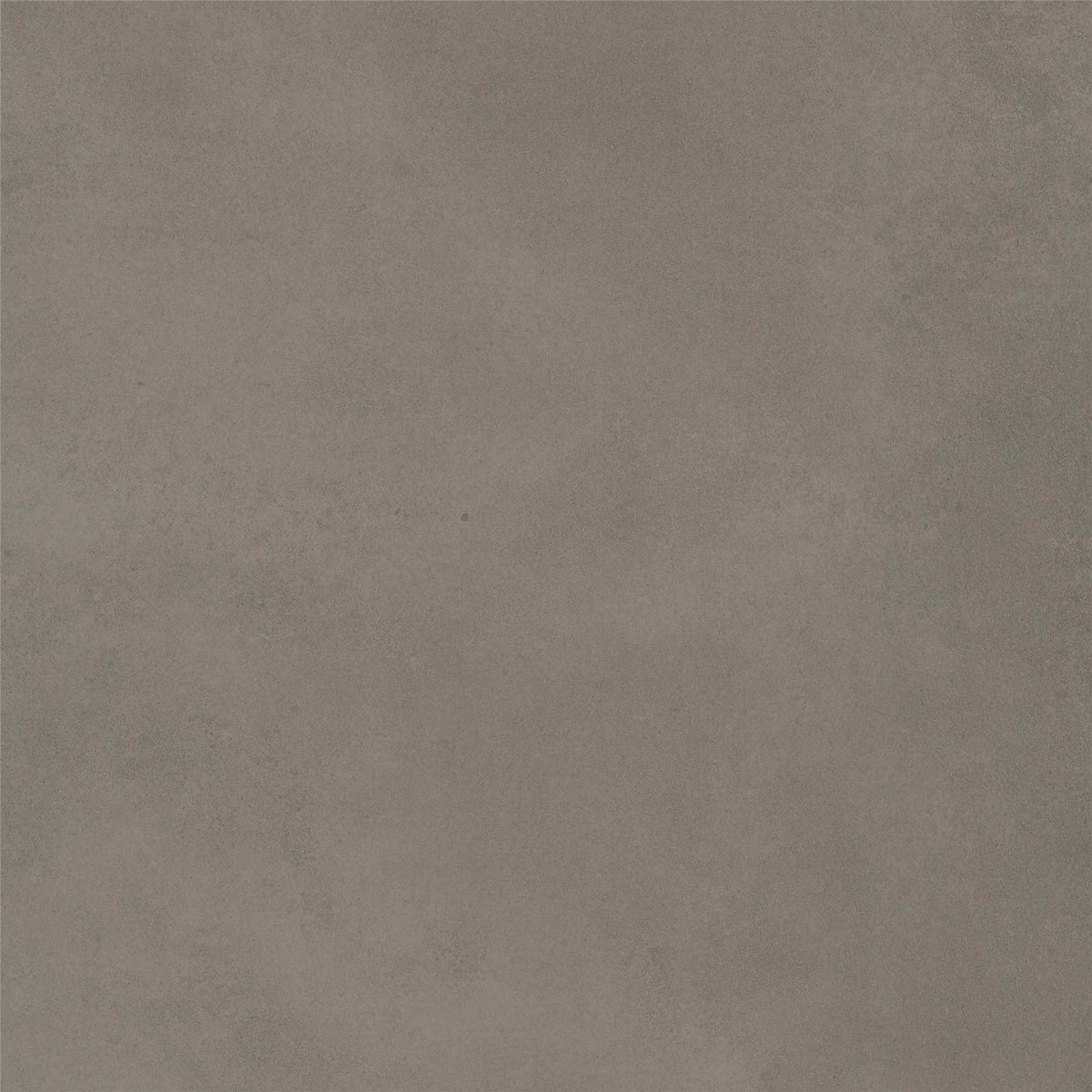 PŁYTKA CERAMICZNA ST/SE66BR 60 X 60 CM OD STARGRES