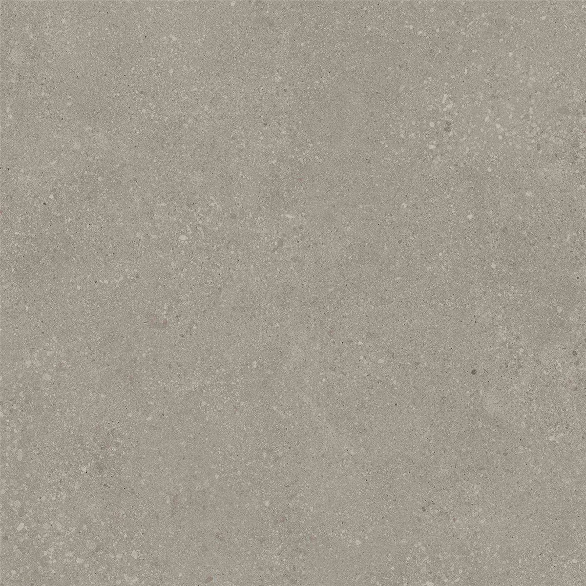 PŁYTKA CERAMICZNA ST/VO66TAT2 60 X 60 CM OD STARGRES