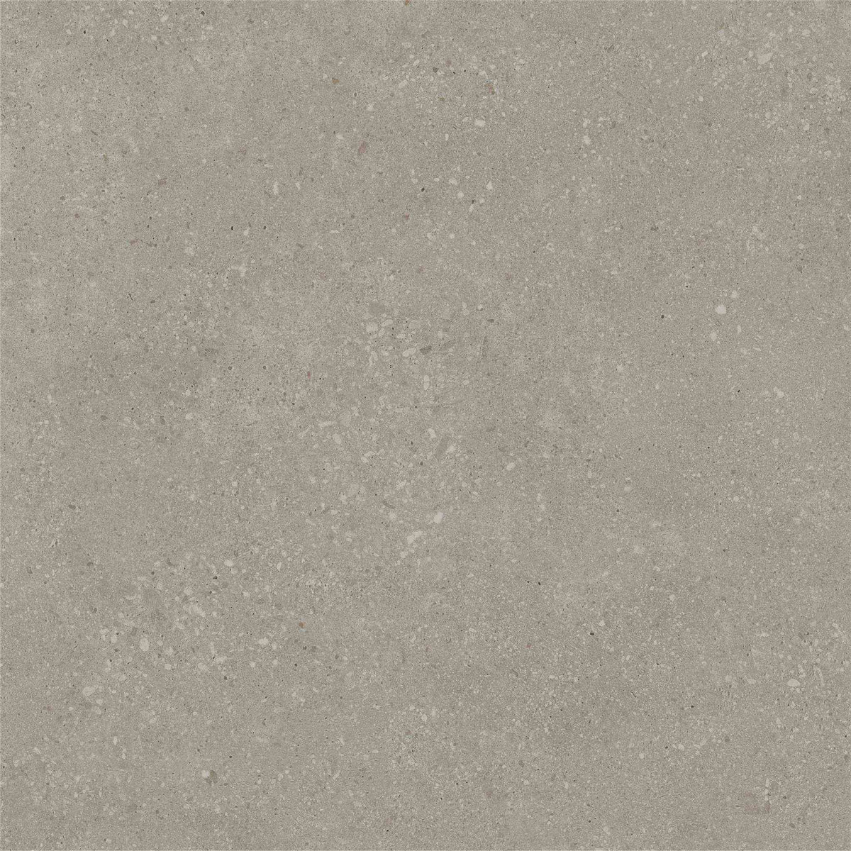 PŁYTKA CERAMICZNA ST/VO66TAT2 60 X 60 CM OD STARGRES