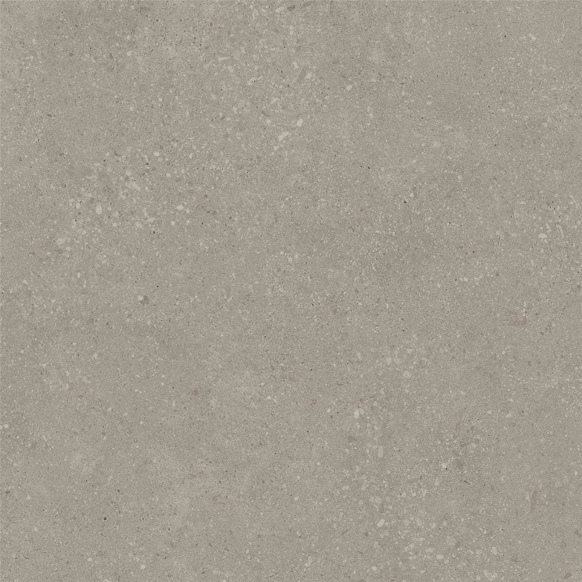 PŁYTKA CERAMICZNA ST/VO66TAT2 60 X 60 CM OD STARGRES