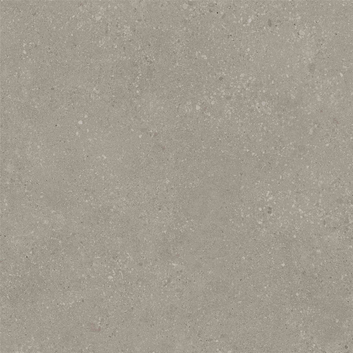 PŁYTKA CERAMICZNA ST/VO66TAT2 60 X 60 CM OD STARGRES