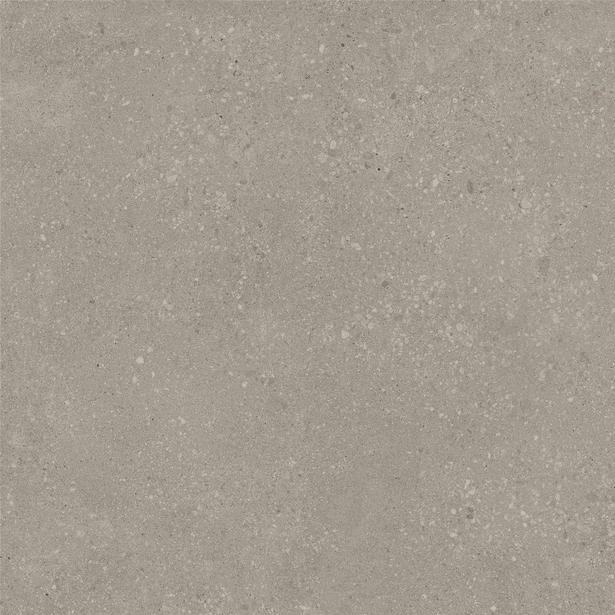 PŁYTKA CERAMICZNA ST/VO66TAT2 60 X 60 CM OD STARGRES