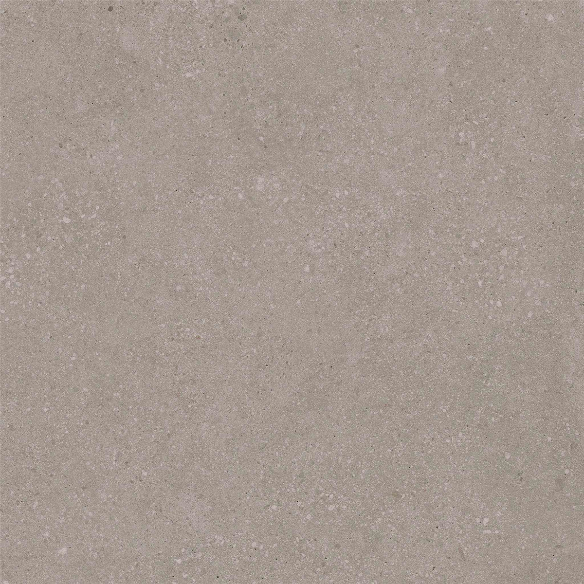 PŁYTKA CERAMICZNA ST/VO66TAT2 60 X 60 CM OD STARGRES