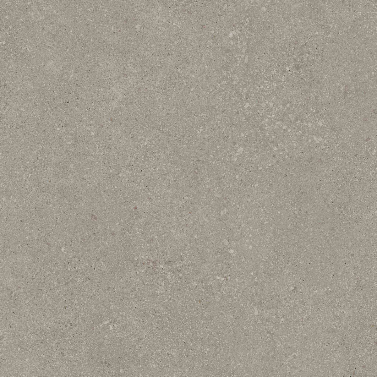 PŁYTKA CERAMICZNA ST/VO66TAT2 60 X 60 CM OD STARGRES