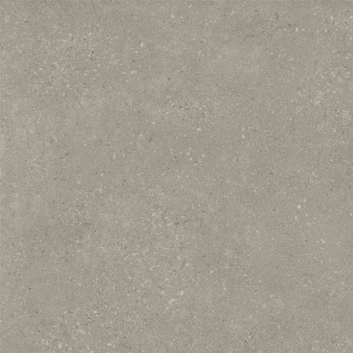 PŁYTKA CERAMICZNA ST/VO66TAT3 60 X 60 CM OD STARGRES
