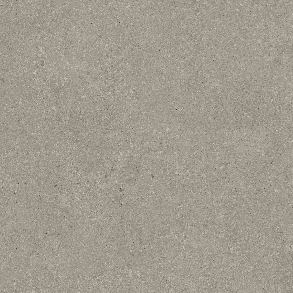 PŁYTKA CERAMICZNA ST/VO66TAT3 60 X 60 CM OD STARGRES