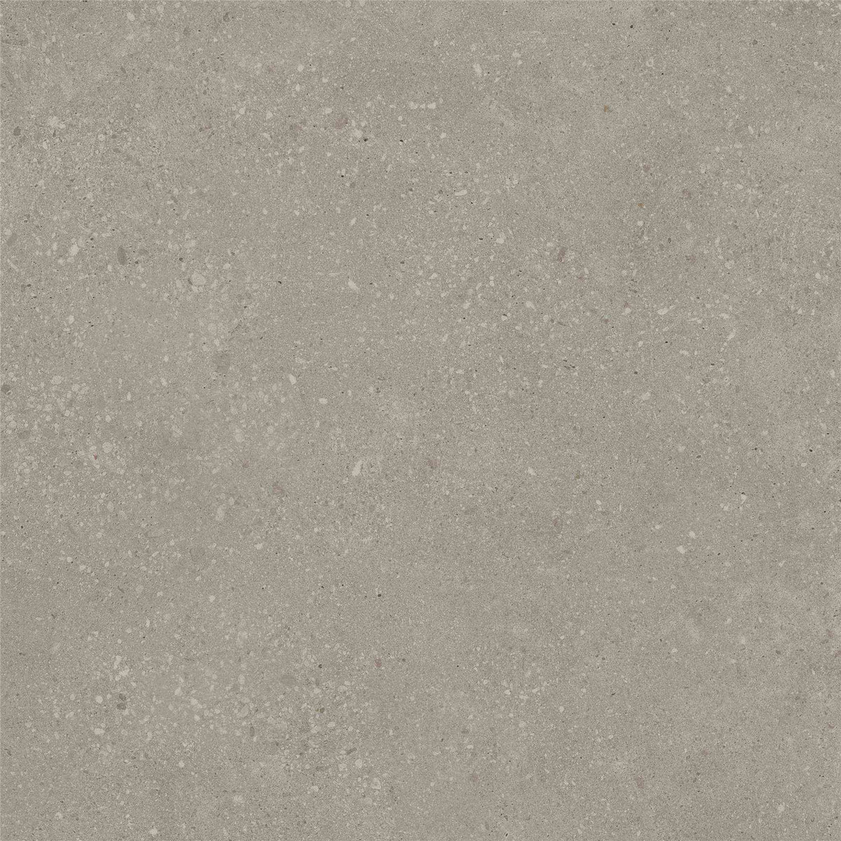 PŁYTKA CERAMICZNA ST/VO66TAT3 60 X 60 CM OD STARGRES