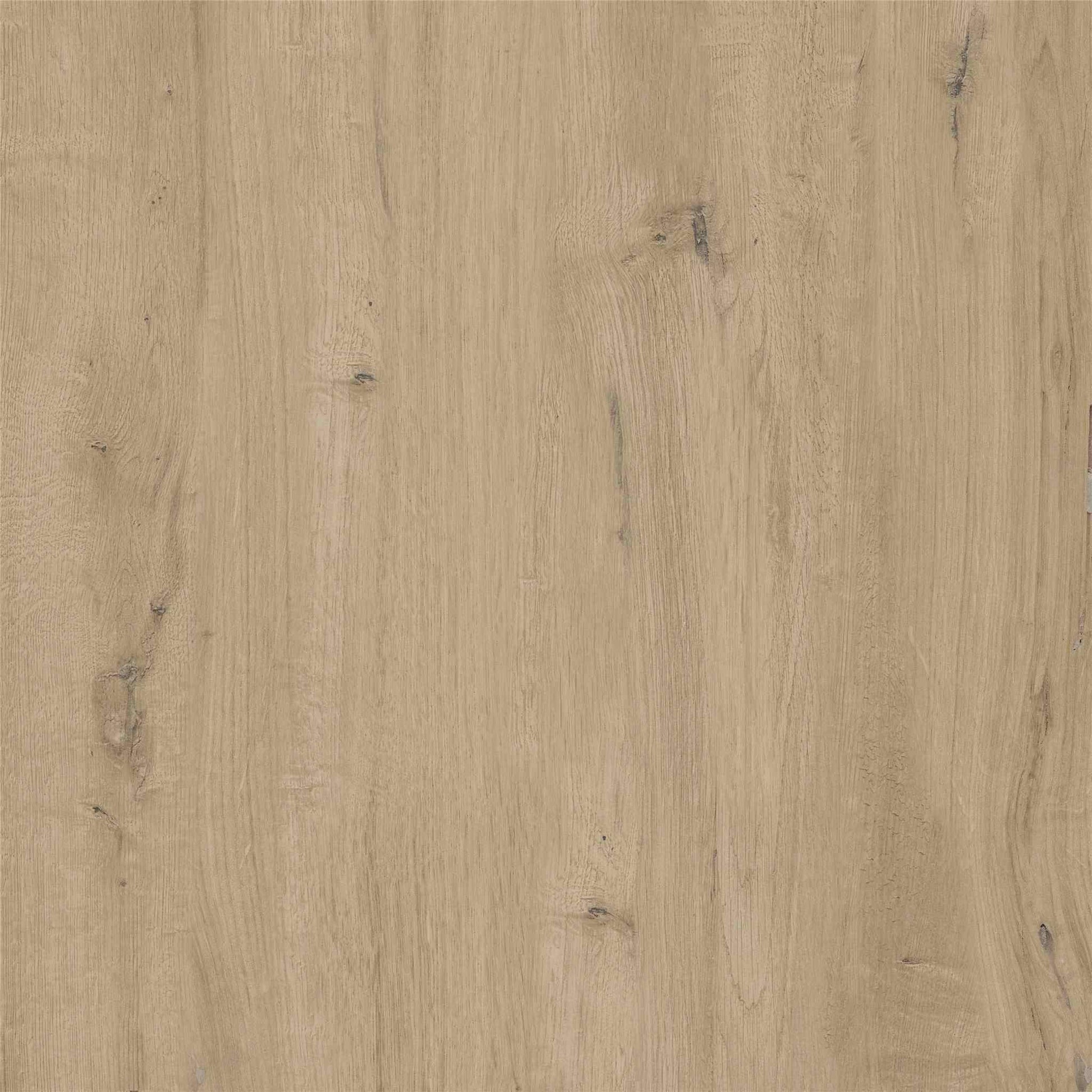 PŁYTKA CERAMICZNA ST/SU66CR 60 x 60 CM OD STARGRES