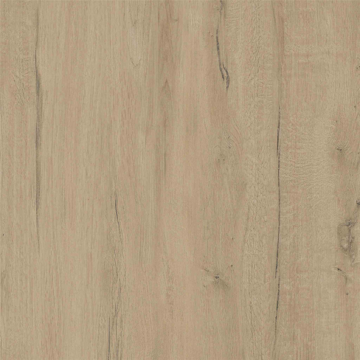 PŁYTKA CERAMICZNA ST/SU66CR 60 x 60 CM OD STARGRES